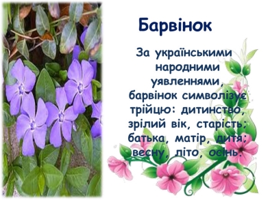                       Барвінок  За українськими народними уявленнями, барвінок символізує трійцю: дитинство, зрілий вік, старість; батька, матір, дитя; весну, літо, осінь.  